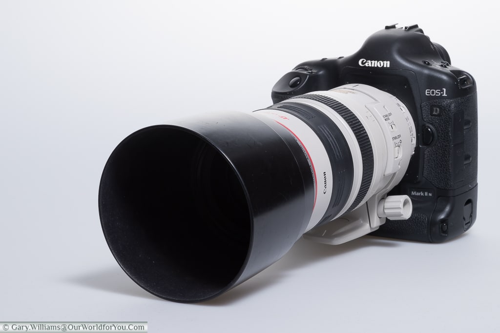 Canon EOS 1D Mark II N - My first 1D Canon, with the splendid 70-200mm L series lens attached