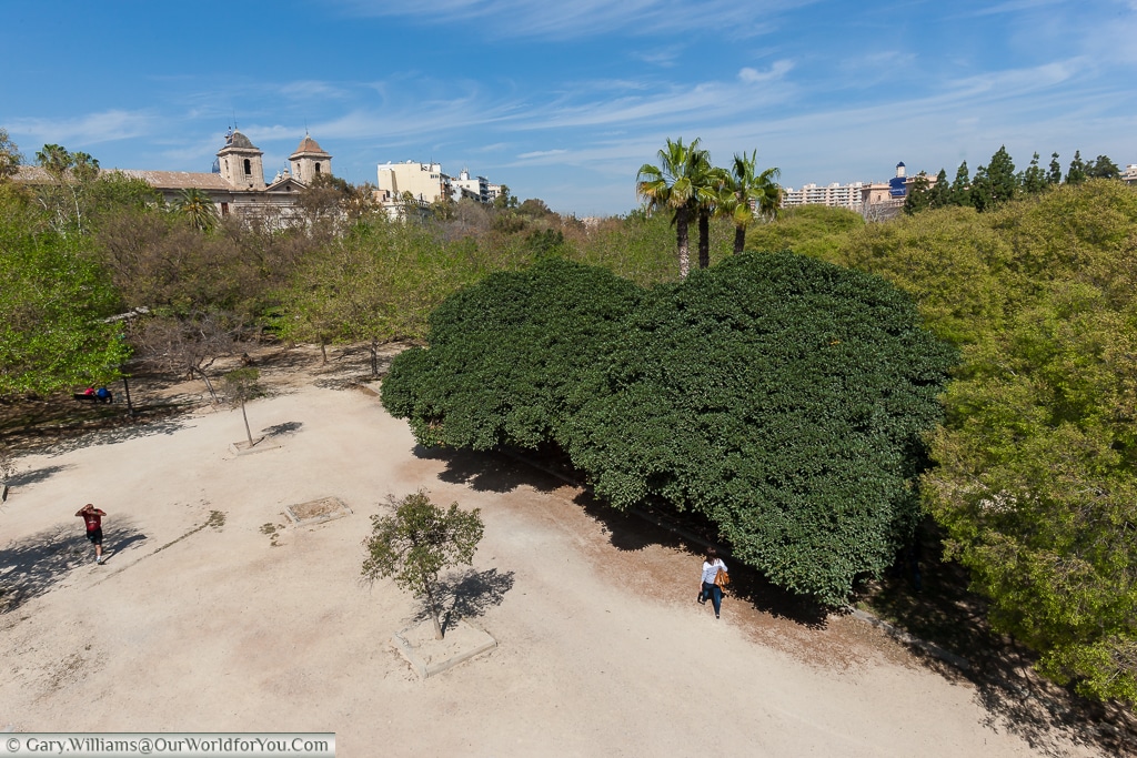Looking down on the Jardin del Turia from the Pont del Real, Valencia, Spain