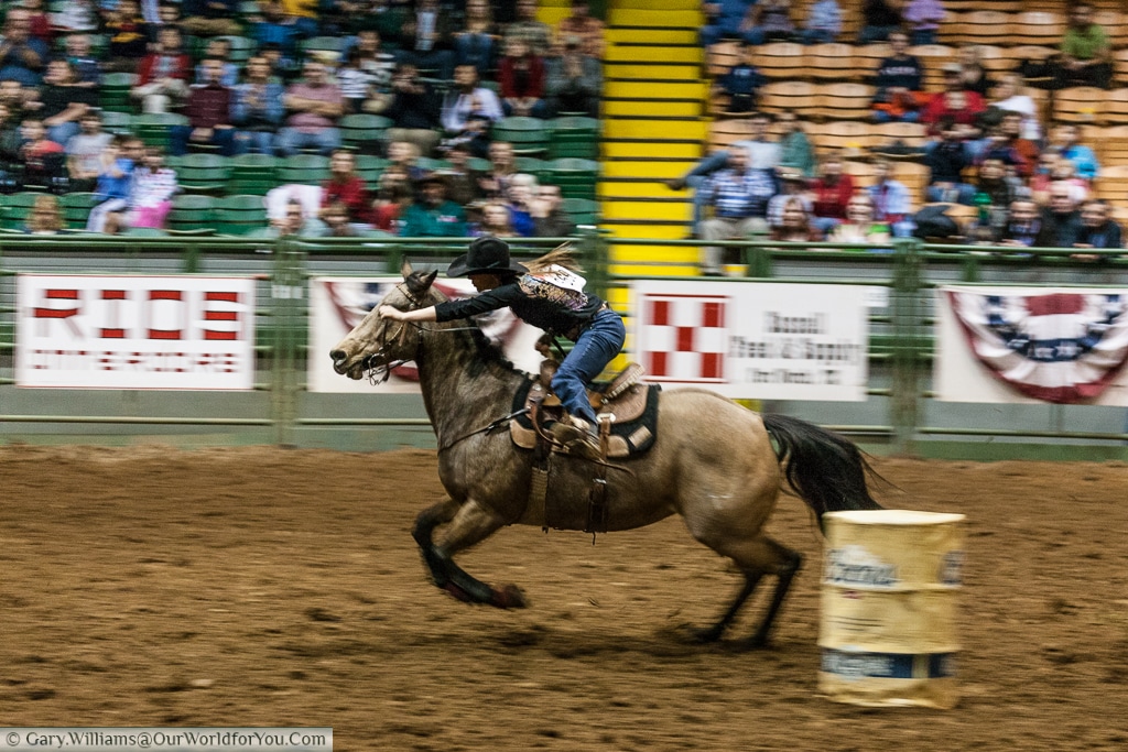 Full speed ahead at the Stockyards Championship Rodeo, Fort Worth, Texas