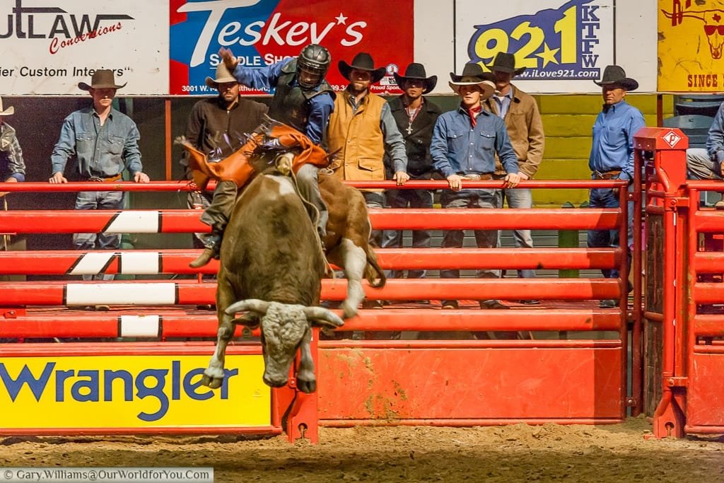 Getting some air at the Stockyards Championship Rodeo, Fort Worth, Texas