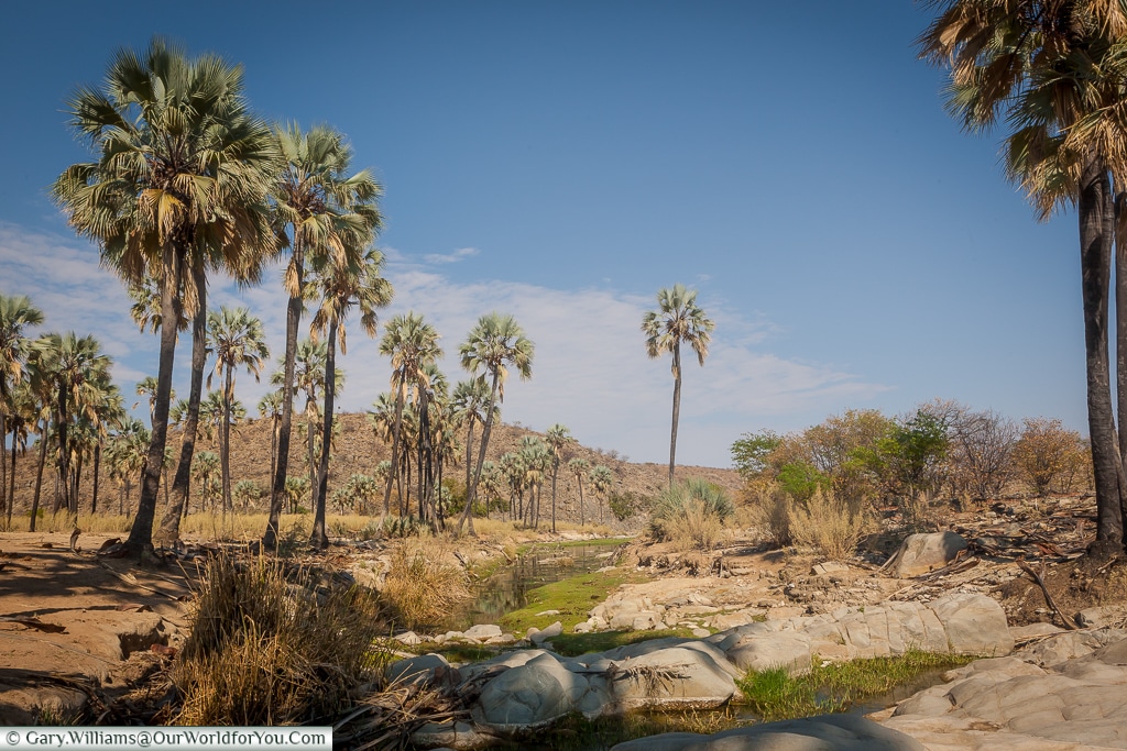 The stream that runs to the Himba village, Damaraland, Namibia