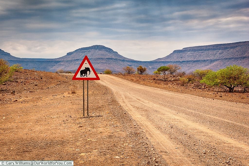 Elephant Crossing, Grootberg, Damaraland, Namibia