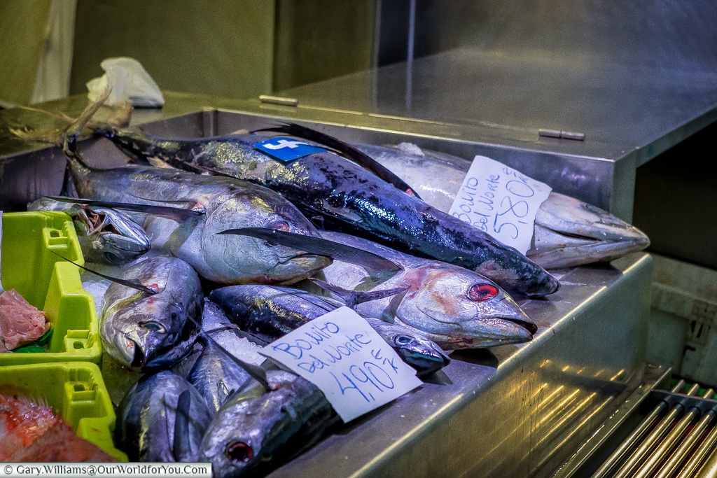 Fresh fish at the Mercado, Bilbao, Spain