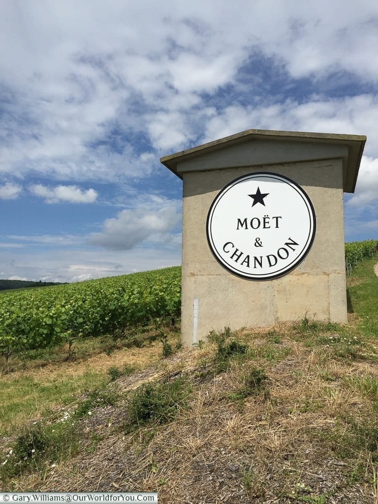 A Moet vineyard in the Champagne region, France