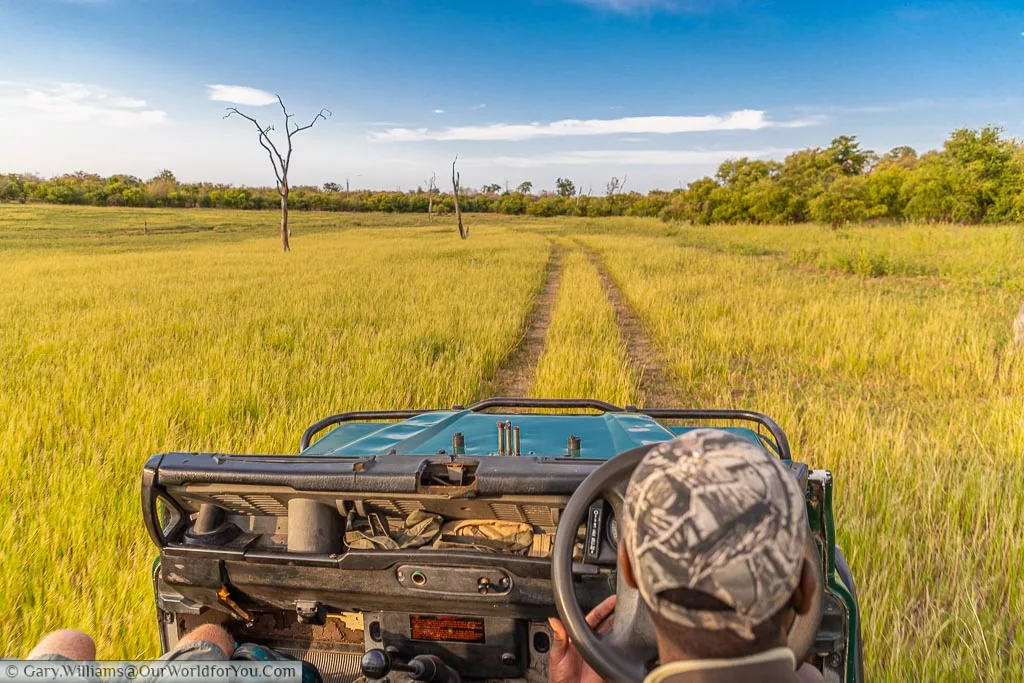 Heading out on the truck, Bush Walk, Rhino Safari Camp, Lake Kariba, Zimbabwe