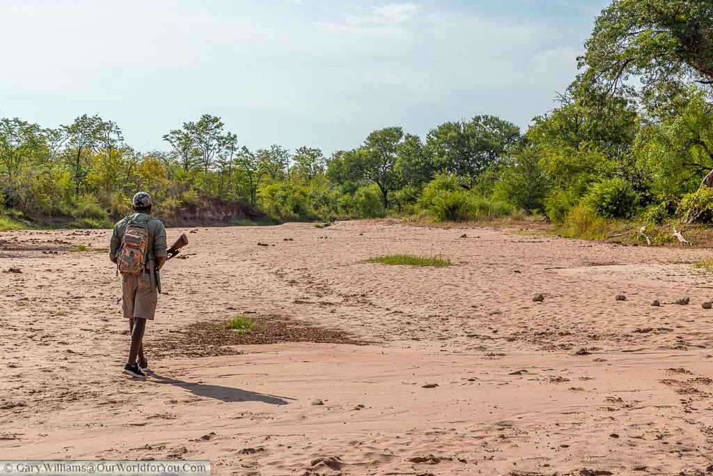 Tettindra, our guide, leading the group through a dry river bed.