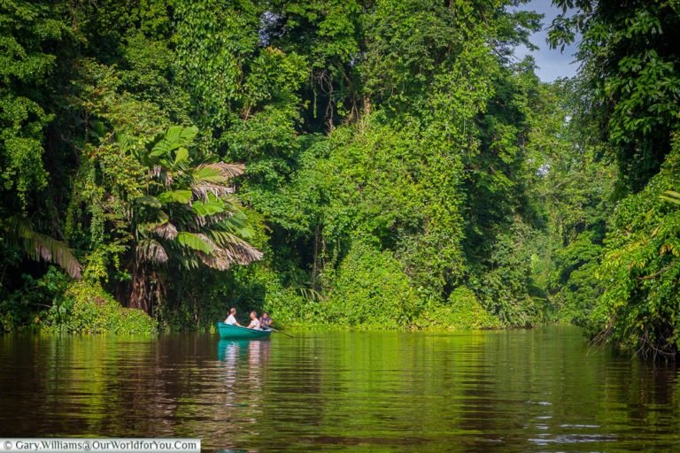 Costa Rica Road Trip (Part 4) Tortuguero…..how humid? - Our World for You