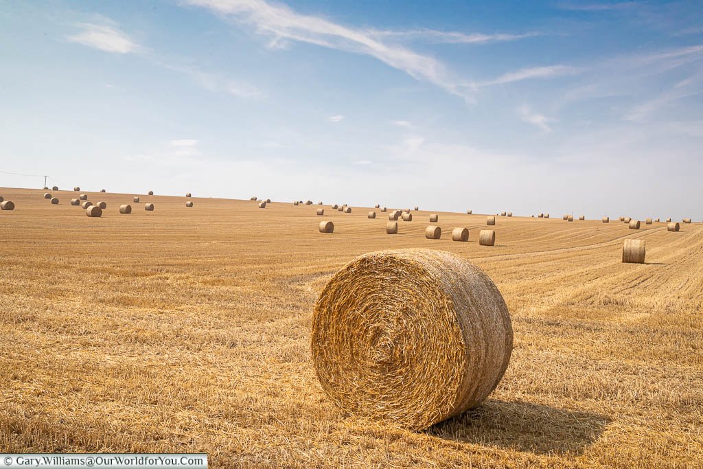 A charming road trip in and around the Kent Downs (AONB), UK - Our ...