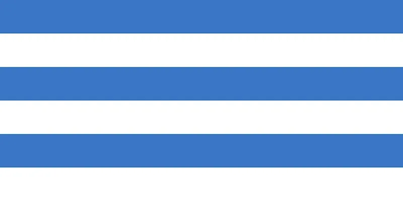 Flag of Tallinn