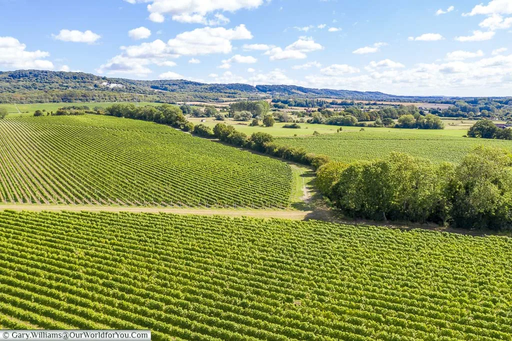 A patchwork of fields nearing harvest time of the Kits Coty vineyards from a drone 40 meters in the air.