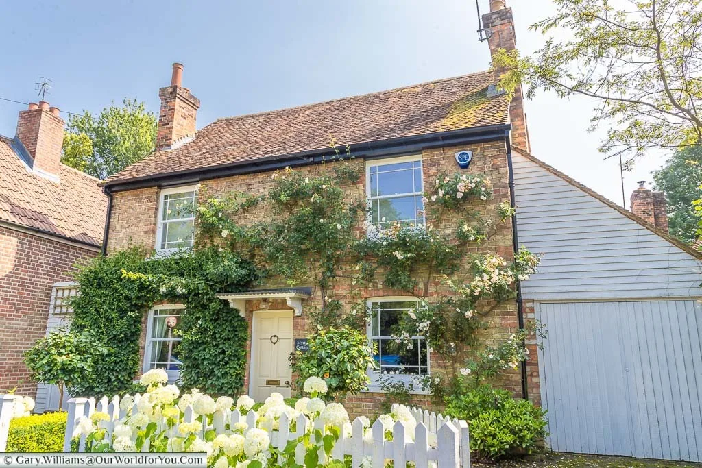The beautiful Myrtle Cottage in Shoreham, covered with peach coloured climbing roses, and surrounded by a white picket fence and white hydrangea flowers.