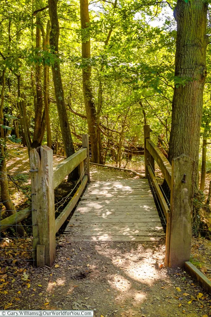 A wooden bridge through the wooded area as part of the path around the battlefield.