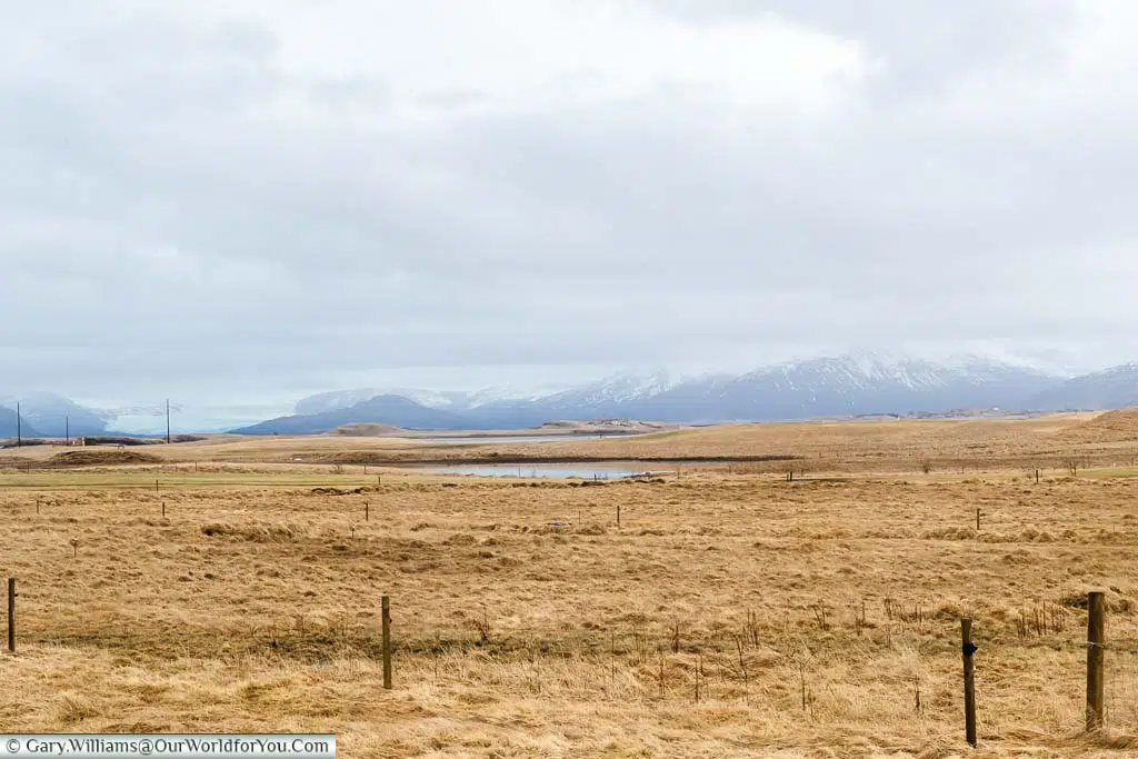 The view across golden grassy fields to dark, snow-covered mountains and a glacier from the Milk Hotel in Höfn, Iceland
