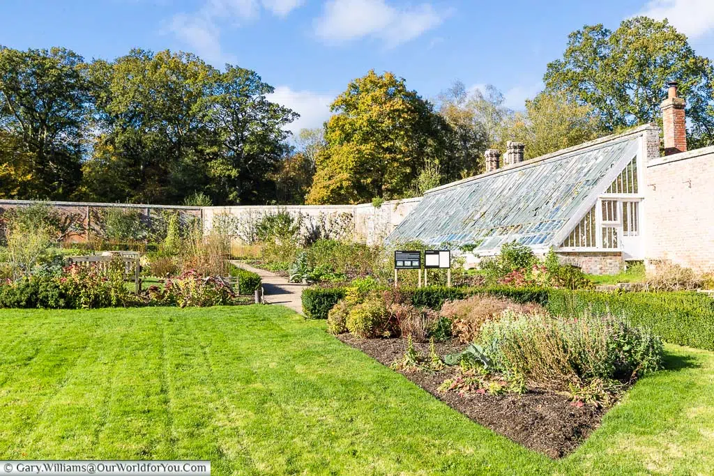 Kitchen garden planted out in the walled gardens of of Scotney House