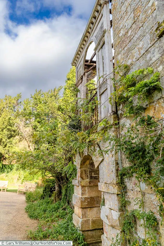Creeping foliage attached to the ruins of Scotney Castle