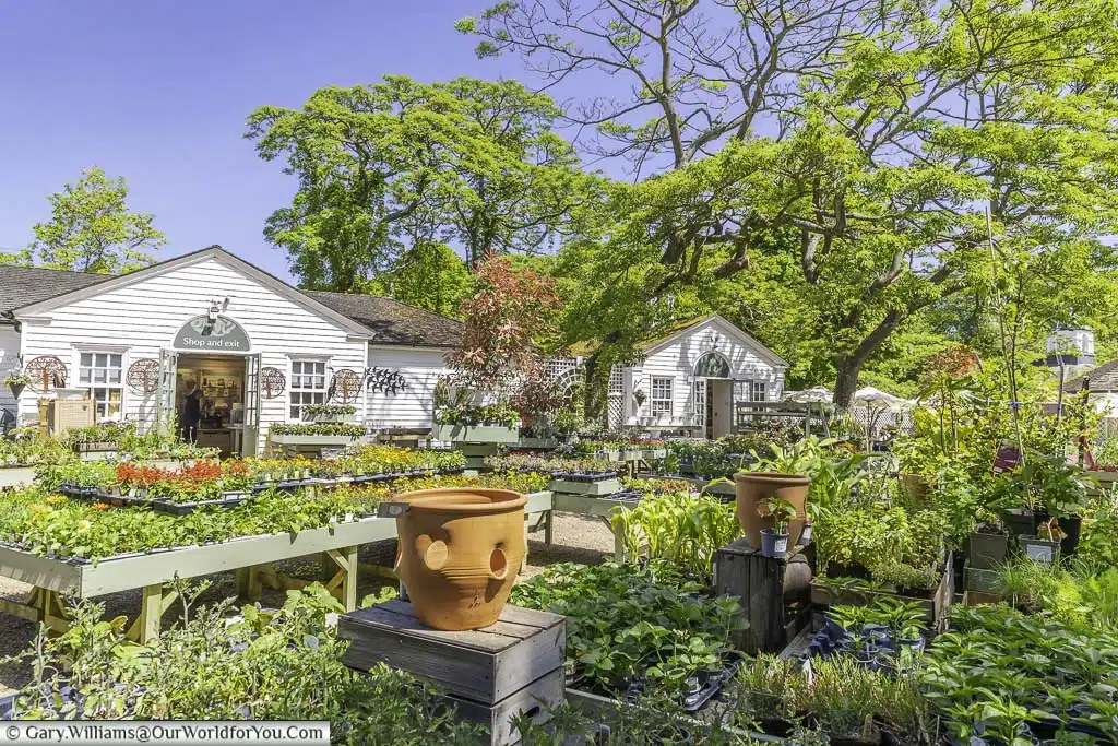 The well-stocked courtyard and garden shop at nymans in west sussex
