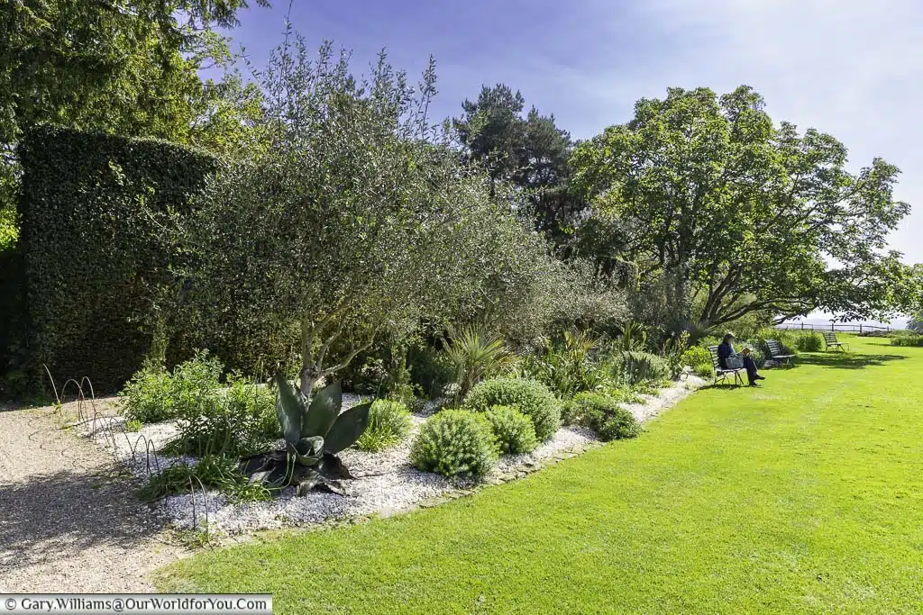 A curved bed packed with exotic plants at nymans house and gardens in west sussex
