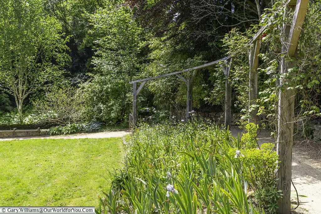 Irises in front of a pergola that lines the rosery with a glimpse of the rustic swimming pool at the end