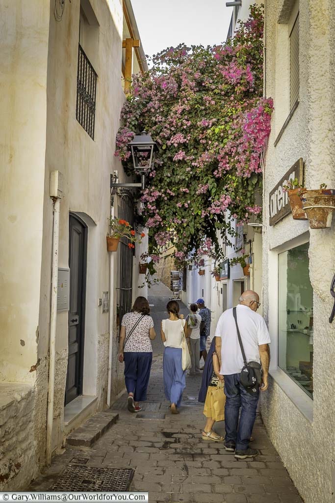 A group of people walking along a narrow lane adorned with pink flowers from a overhanging shrub in the old town mojácar, andalucia, spain