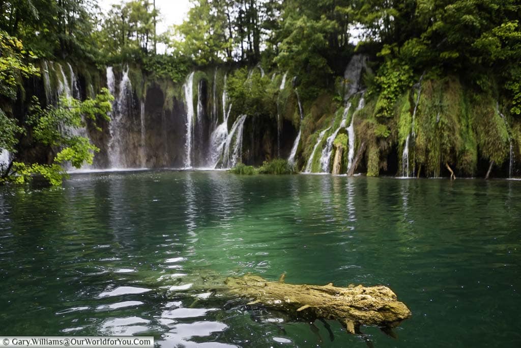 small waterfalls flowing into an opal green pool surrounded by lush green vegetation in the plitvice lakes national park in croatia