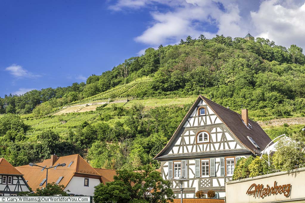 The roofline in front of the hills that provide a backdrop to Heppenheim.