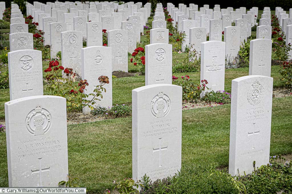 Rows of inscribed white headstones, punctuated with red roses, in the beautifully kept Bayeux Commonwealth Military Cemetery in Normandy.