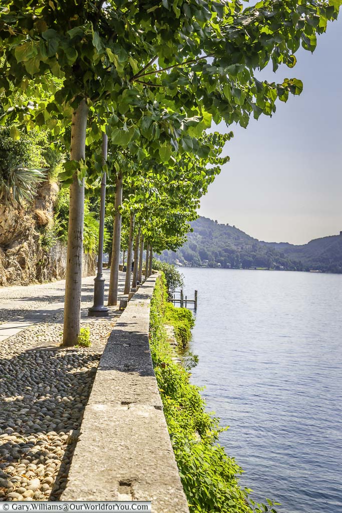 The tree lined via giovanetti that runs alongside lake orta in orta san giulio, italy