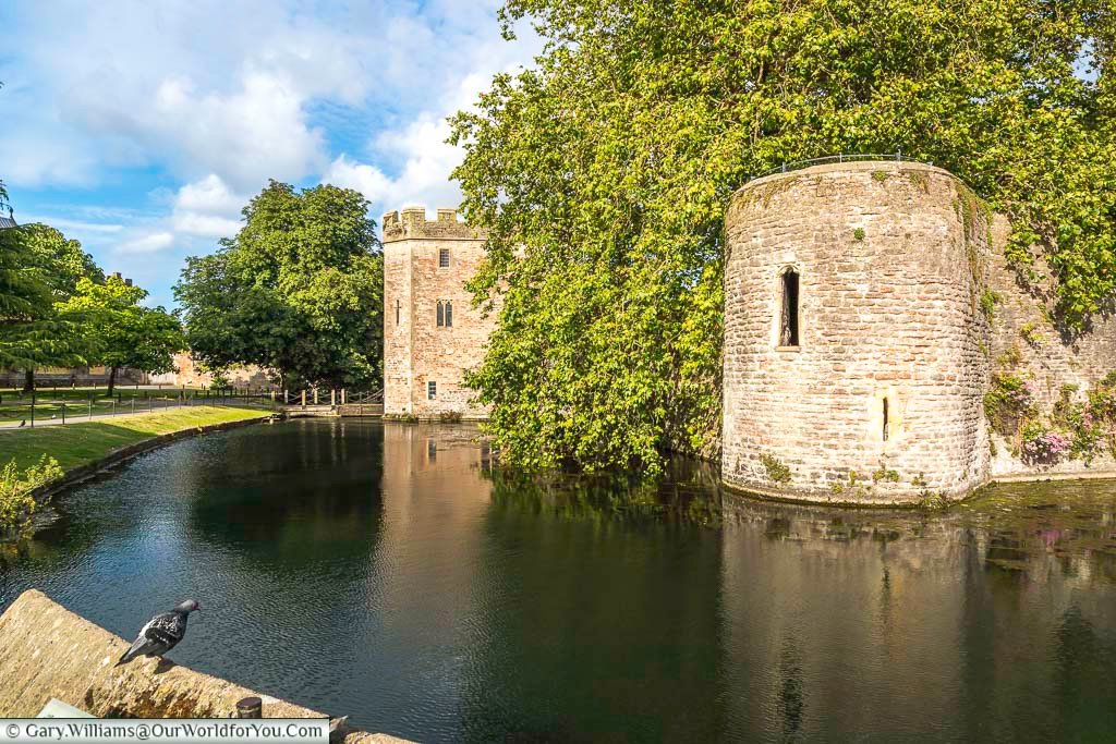 Stone towers and a heavy stone wall around the moat of the archbishops palace in wells, somerset