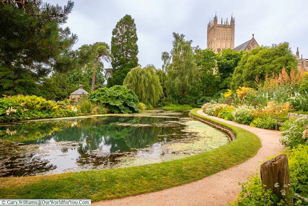 A path leading around a small lake, fed by an underground well, in the grounds of the archbishop's palace in wells, somerset