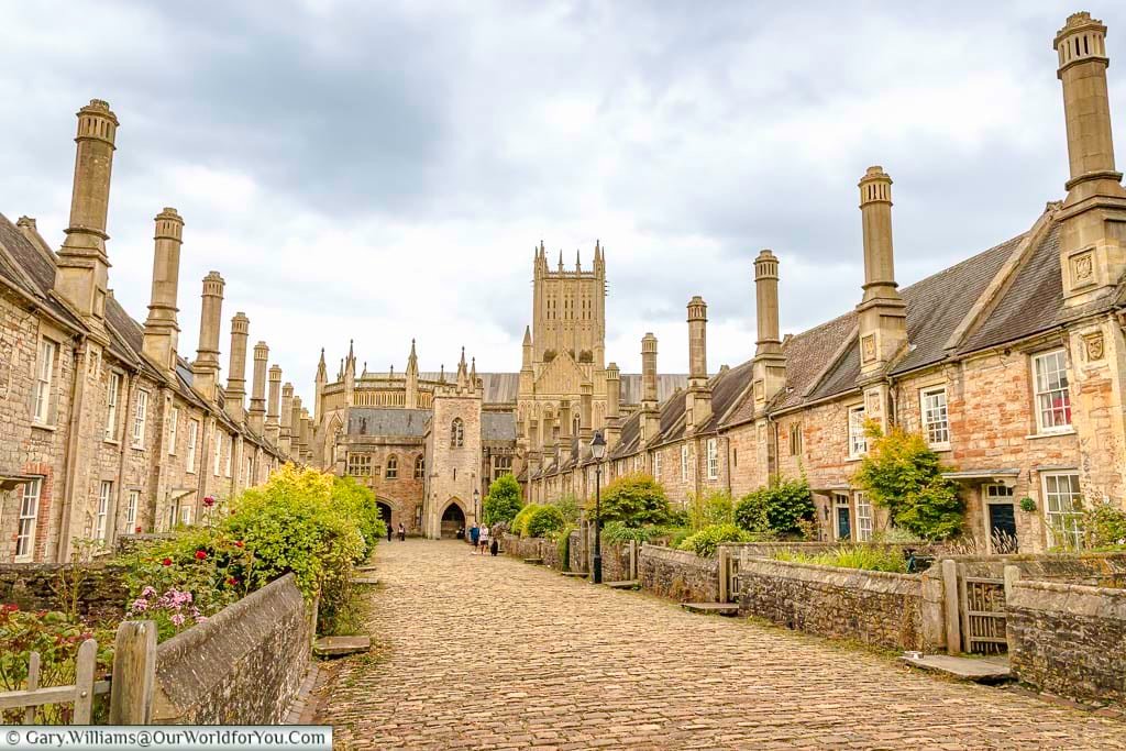 The two rows of 15th-century houses that make up vicar's close, with wells cathedral in the background