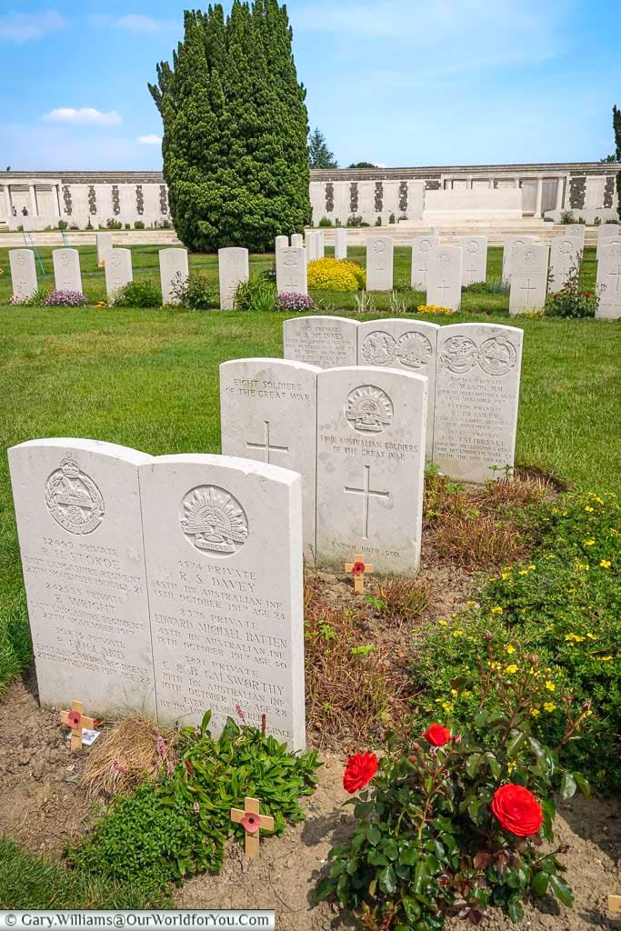 Seven commonwealth war grave headstones in a single plot at the tyne cot cemetery close to the battle of passchendaele in belgium
