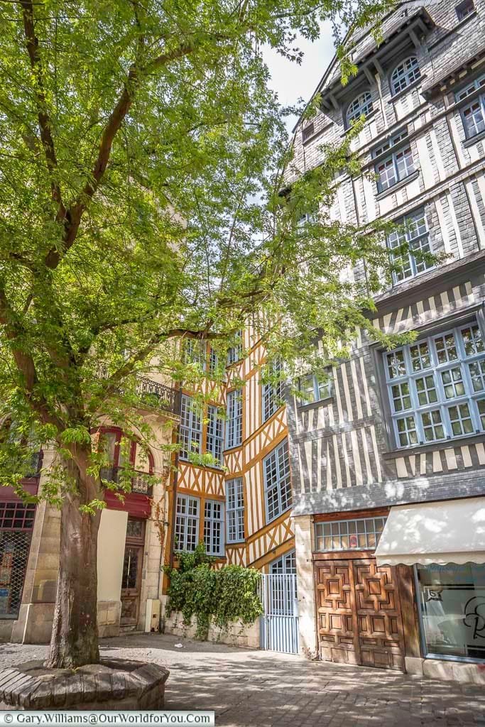 A quiet leafy corner of Rouen framed with half-timbered buildings.