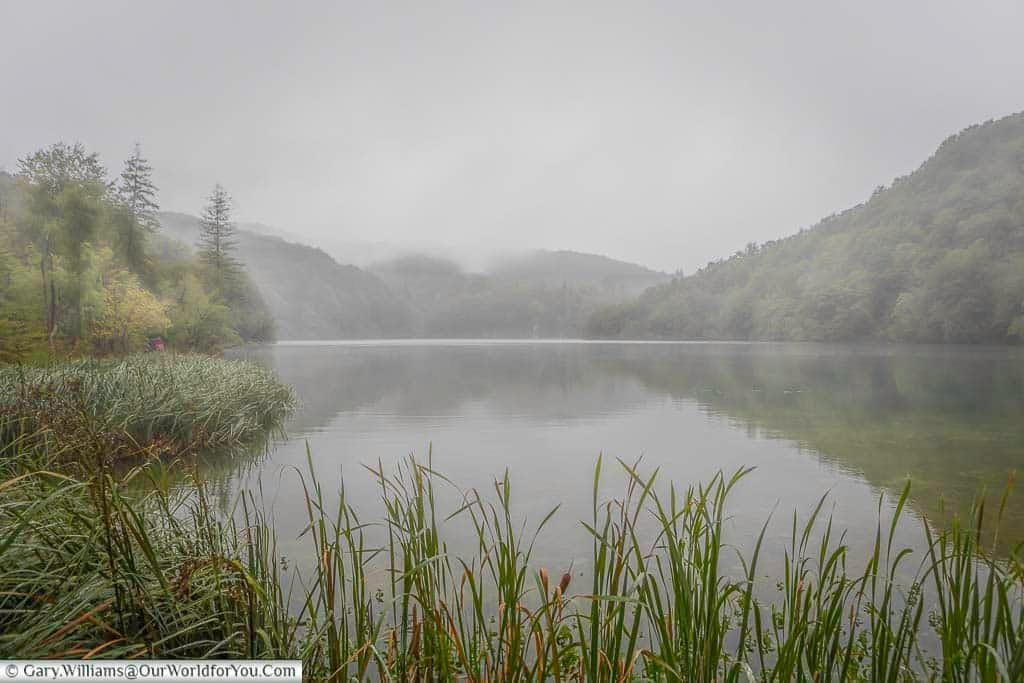 a misty view over the upper lakes of plitvice in croatia against a backdrop of green trees