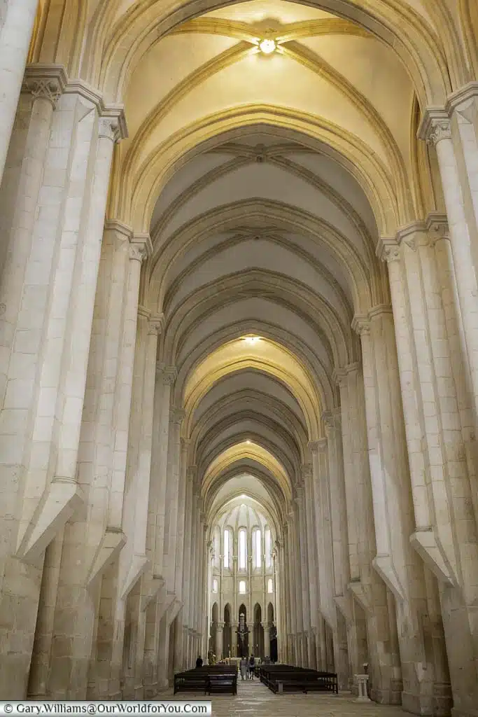 The high stone columns lining the nave of the monastery of alcobaça, in the heart of portugal