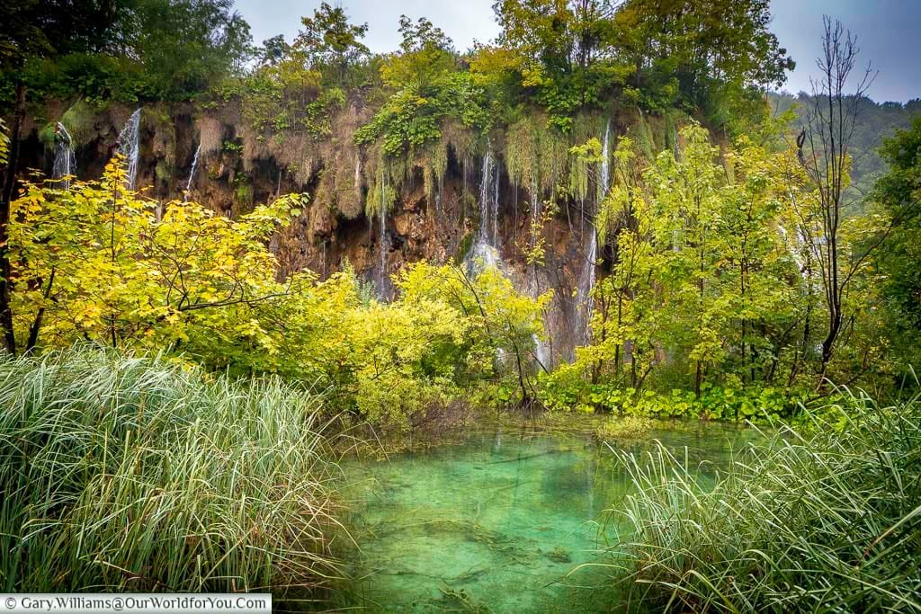 A small pool fed by many little waterfalls in the plitvice lakes national park in croatia