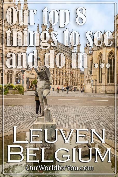 The pin image for our post - 'Leuven, our top 8 things to see and do'
