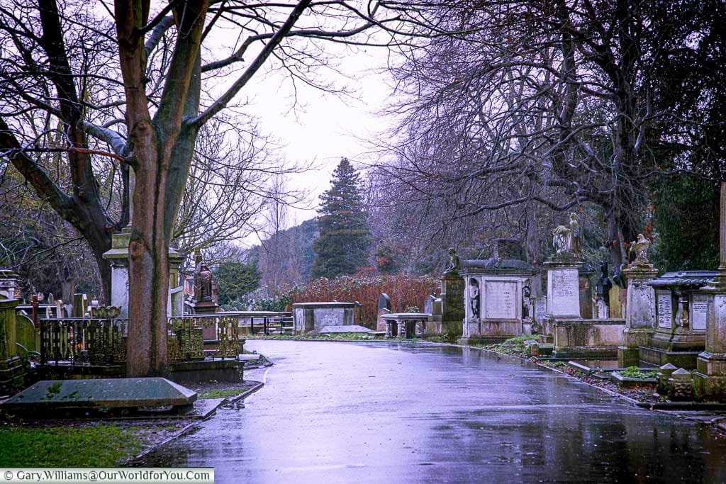 This wide shot captures a rain-soaked pathway winding through Brompton Cemetery in the United Kingdom on an overcast day. Elaborate headstones and monuments stand on either side of the reflective path, framed by bare trees and patches of green grass.