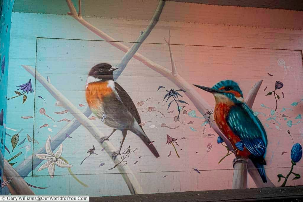 This close-up shot showcases a vibrant mural on a concrete wall in Leuven, Flanders, Belgium, depicting two colorful birds perched on delicate branches amidst stylized flora. The artwork features a robin with an orange breast and a kingfisher with striking blue and orange plumage, set against a background with soft blue and pink hues.