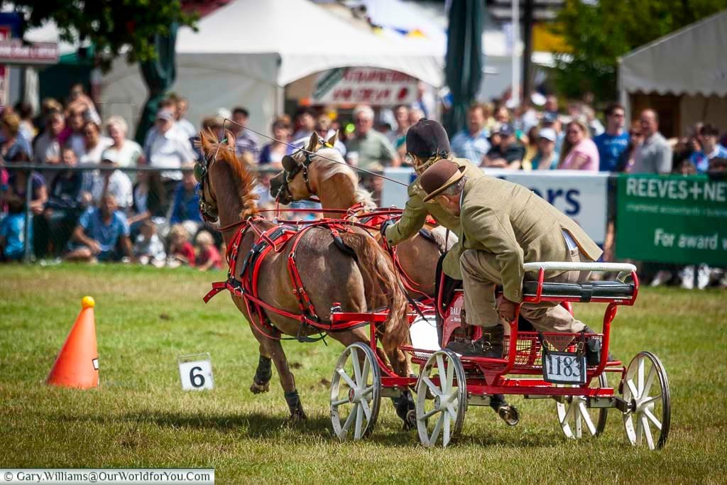 A competitive pony carriage race thrills the crowd at the Kent County Show with action-packed speed and precision. The event highlights traditional equestrian sport in a vibrant summer setting.