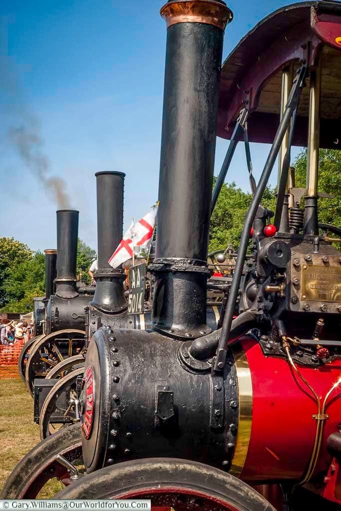 Line-up of classic steam-powered traction engines gleaming under the summer sun at the Kent County Show. These majestic machines celebrate the golden age of rural industry and draw crowds at traditional UK country events.