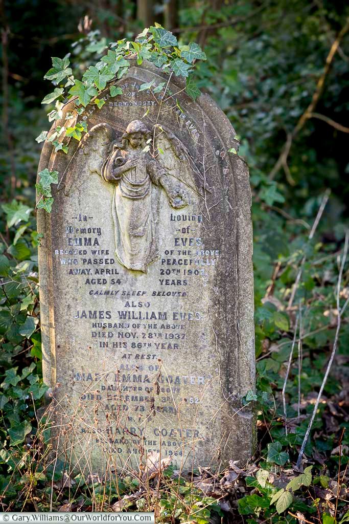 A weathered angel sculpture gazes downward from a Victorian gravestone in Nunhead Cemetery, surrounded by ivy and woodland growth. This evocative memorial highlights the cemetery’s rich funerary symbolism and its romantic, overgrown character.