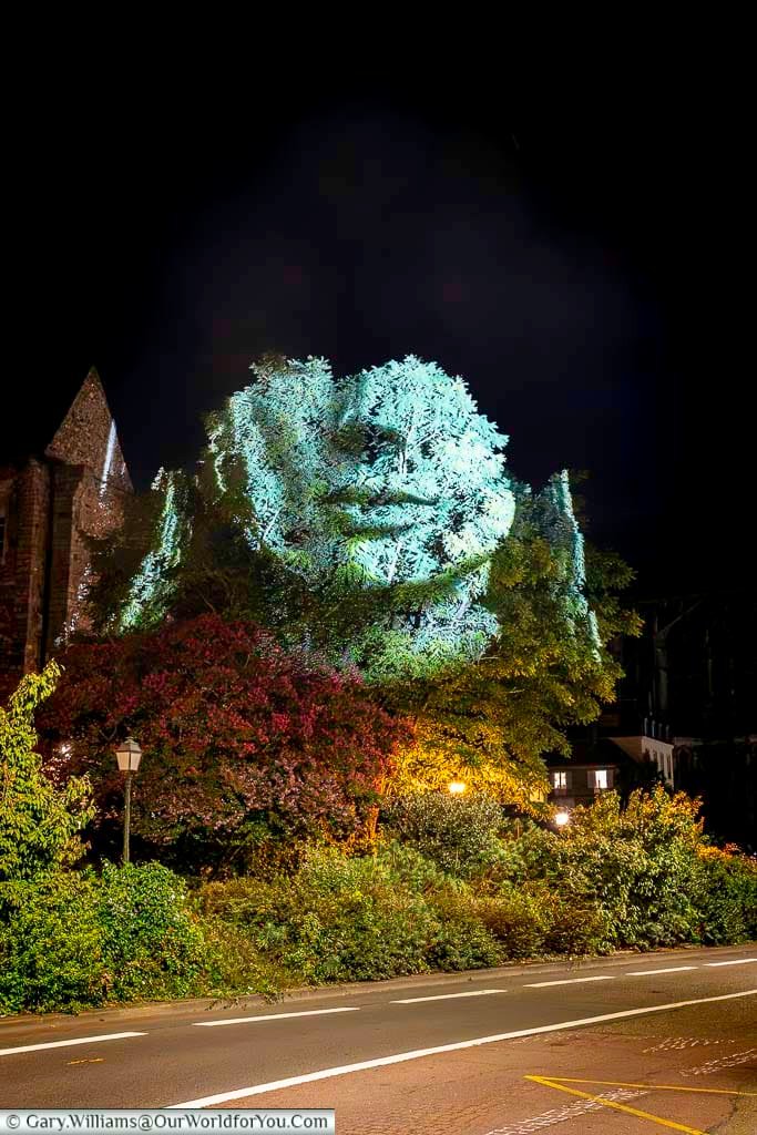 A striking night-time projection illuminates trees and historic buildings in Le Mans, creating a vibrant artistic display. This creative light installation adds a modern twist to the city’s historic streetscape.