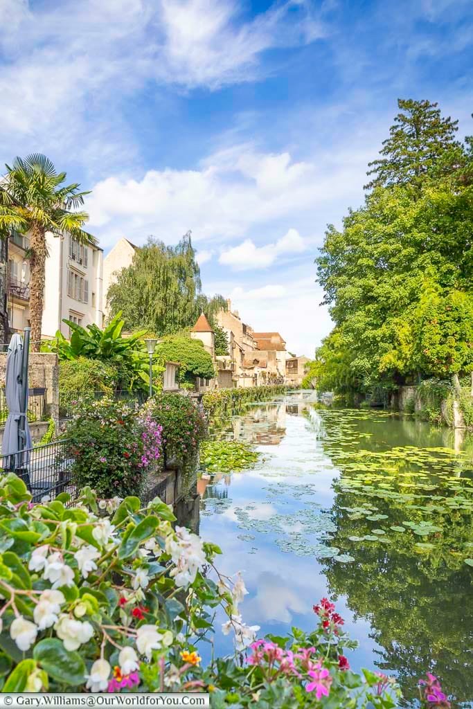 The tranquil Canal des Tanneurs winds through the heart of Dole, bordered by colourful flowers, historic buildings, and lush greenery. This peaceful waterside walk is one of the highlights of exploring Dole and a hidden gem in eastern France.