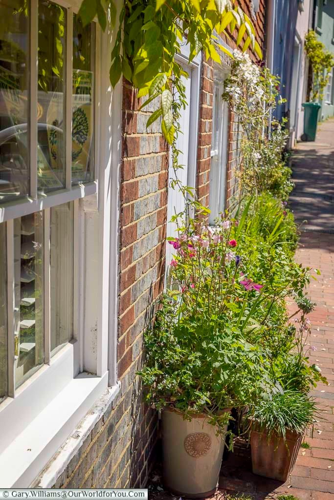 Colourful flowers and climbing plants soften the historic brickwork along one of Lewes’s attractive little streets, capturing the town’s quieter side.