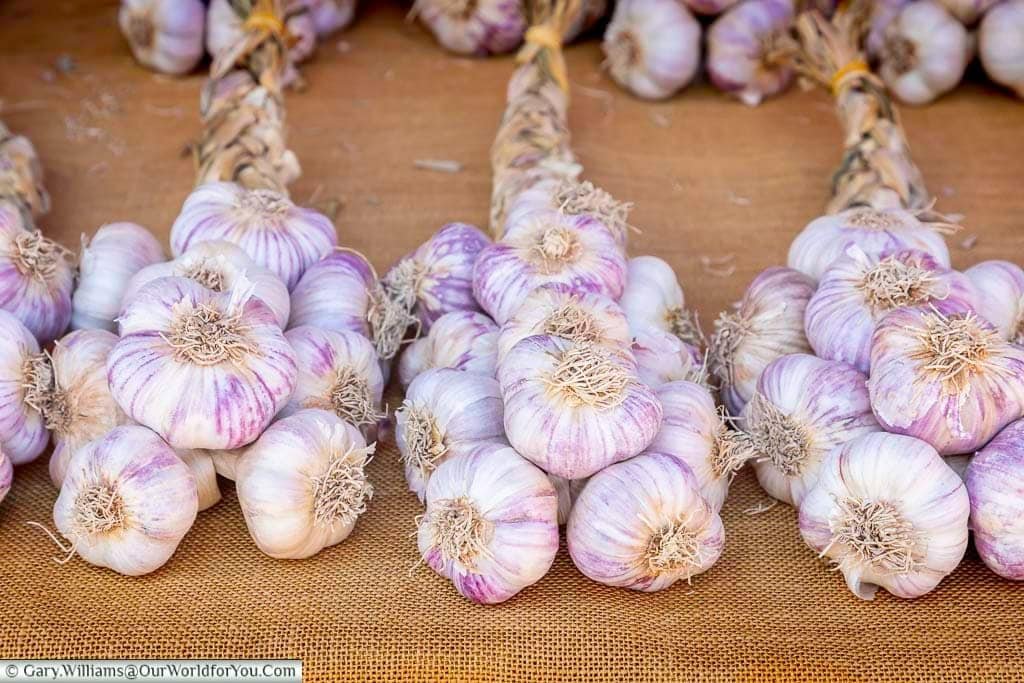 Fresh purple-striped garlic bulbs displayed in traditional bunches at the colourful market in Saint-Rémy-de-Provence, Provence.
